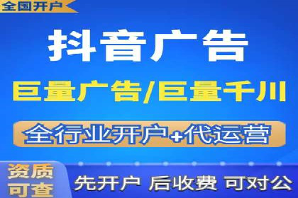 竞价托管服务案例解析